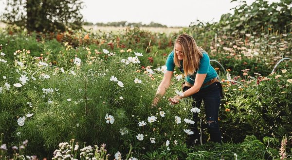 Get Lost In This Beautiful Flower Farm In South Dakota