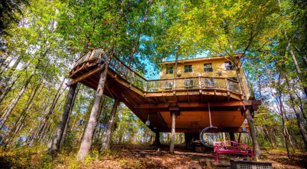 Sleep Among The Old-Growth Oaks And Hickories At The Kentucky Climber’s Cottage Treehouse