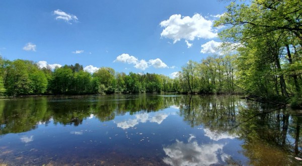 Rose Lake State Wildlife Research Area Is A Scenic Outdoor Spot In Michigan That’s A Nature Lover’s Dream Come True