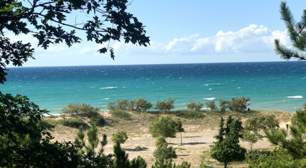 Michigan’s Woollam Family Nature Preserve Trail Leads To A Magnificent Hidden Oasis