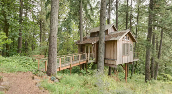 Experience A Fairytale Come To Life When You Stay At The Enchanted Forest Themed Treehouse In Oregon