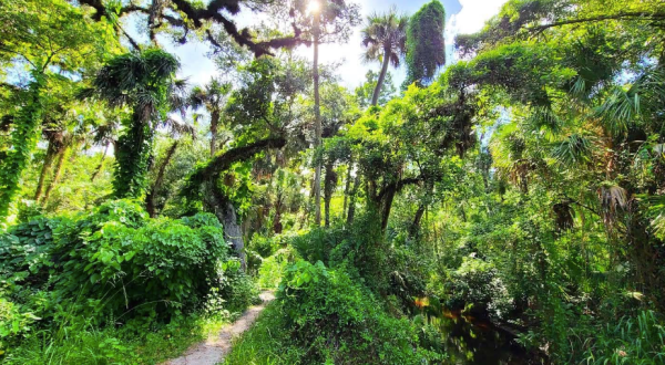 Florida’s Bear Creek Nature Trail Leads To A Magnificent Hidden Oasis