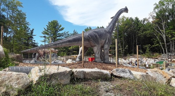 The Realistic Dinosaurs At Raptor Falls Mini Golf In Maine Make For A Roaring Good Time