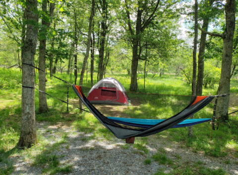 Pitch Your Tent Within Walking Distance To 3 Waterfalls At Big Meadows Campground In Virginia