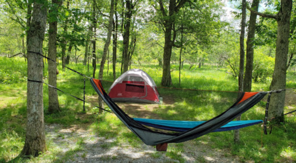 Pitch Your Tent Within Walking Distance To 3 Waterfalls At Big Meadows Campground In Virginia
