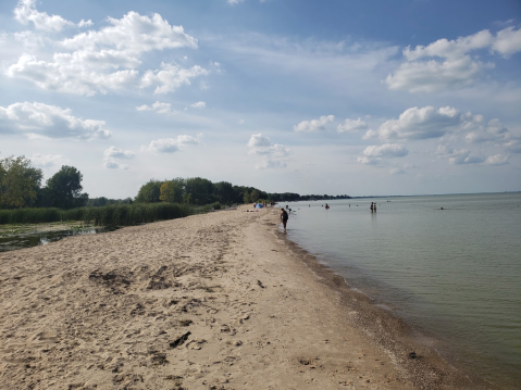 The Beach Near Detroit That’s Unlike Any Other In The World