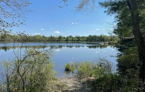 Heads Pond Trail Is A Simple Walk In New Hampshire That Leads To A Refreshing Local Pond You Can Swim In