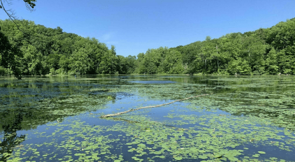 New Jersey’s Ghost Lake Trail Leads To A Magnificent Hidden Oasis