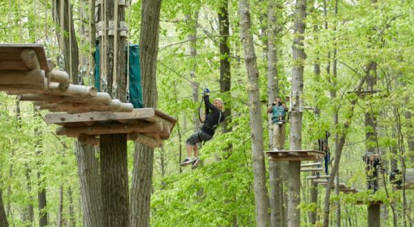 Soar Above The Trees On An Aerial Surfboard At This New Jersey Adventure Course