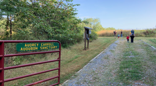 Audrey Carroll Audubon Sanctuary In Maryland Offers A Serene Stroll And Bountiful Bird Watching