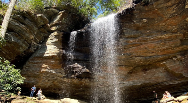 Take A Guided Waterfall Hike In North Carolina With An Expert Naturalist To Gain Special Insights Into The Area