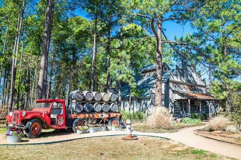 Enjoy Fresh Texas Peaches At Das Peach Haus, An Unassuming Roadside Market In The Heart Of The Hill Country