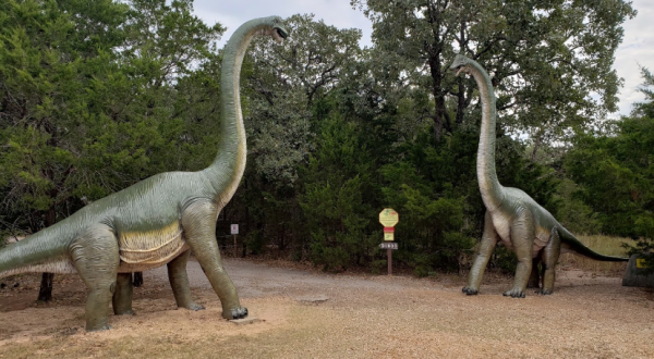 There’s A Dinosaur Themed Playground In Texas Called The Dinosaur Park