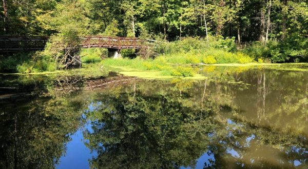 The Hike To Ohio’s Pretty Little Mallard Lake Is Short And Sweet