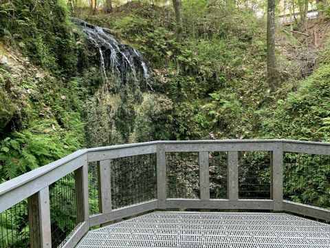 Hike Less Than A Mile To This Spectacular Waterfall Observation Deck In Florida