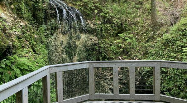 Hike Less Than A Mile To This Spectacular Waterfall Observation Deck In Florida
