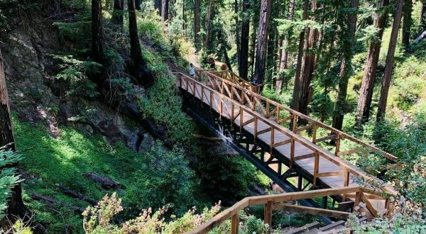 A Redwood Hiking Trail That Leads To A Waterfall In Northern California Has Re-Opened After 13 Years