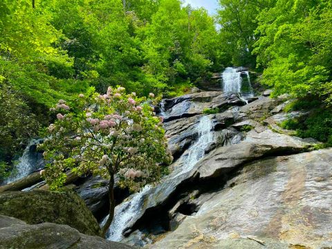 Georgia’s Holcomb Creek Trail Leads To A Magnificent Hidden Oasis