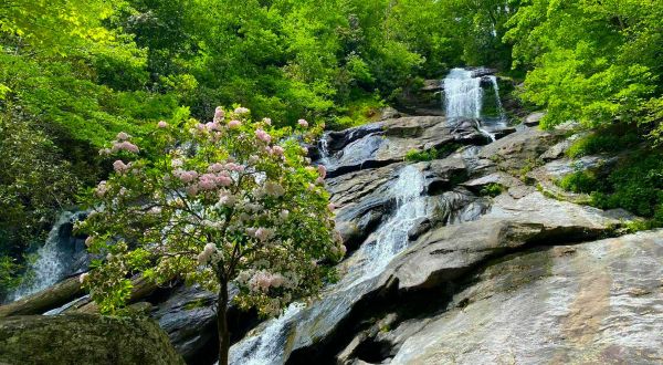 Georgia’s Holcomb Creek Trail Leads To A Magnificent Hidden Oasis
