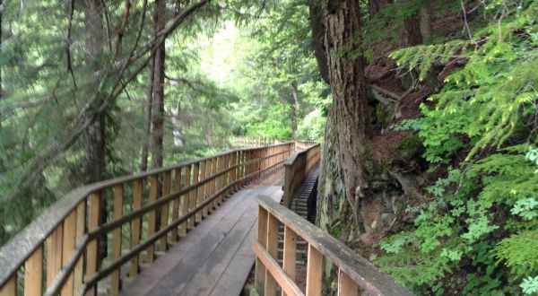 Hike The Short And Sweet Gold Creek Flume Trail All The Way To A Waterfall Right Outside Of Alaska’s Capitol