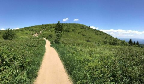 Hike Along Peaks And Ridges With Stunning Views On The 30-Mile Art Loeb Trail In North Carolina