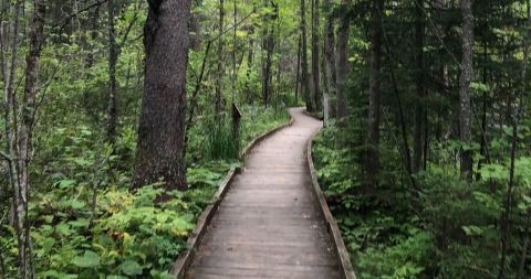 See A Beautiful Lake, Wildlife, And More When You Hike The 2-Mile Dr. Roberts Trail In Minnesota