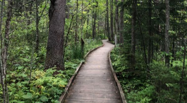 See A Beautiful Lake, Wildlife, And More When You Hike The 2-Mile Dr. Roberts Trail In Minnesota