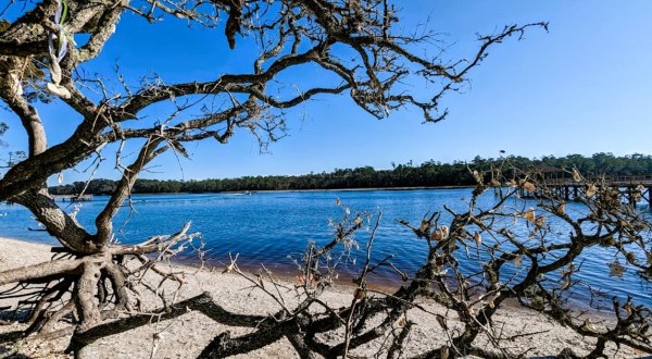 Hike Through This Botanical Garden To The Intracoastal Waterway On A 2.4-Mile Coastal Trail In South Carolina