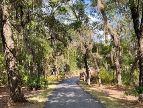 You'll Discover Lots Of Wildlife And Beautiful Scenery While Hiking Alabama's Rosemary Dunes Trail