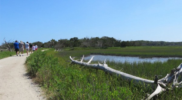 Walk Or Ride Alongside The Ocean On The 1.8-Mile Botany Bay Beach Walk In South Carolina