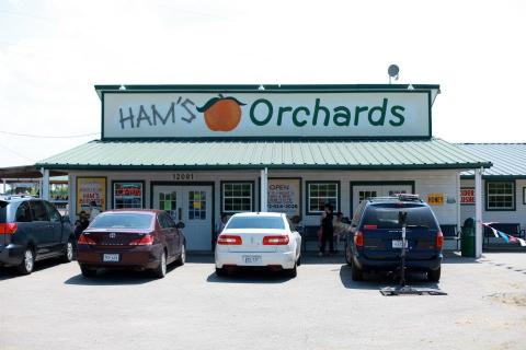 With A Berry Patch, BBQ Joint, And Bakery, Ham Orchards Is The Perfect Texas Summer Destination