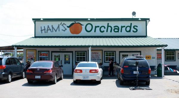 With A Berry Patch, BBQ Joint, And Bakery, Ham Orchards Is The Perfect Texas Summer Destination