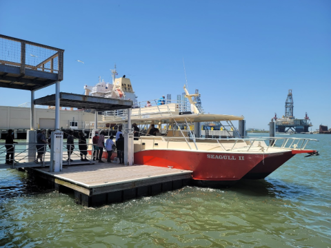 Board A Two-Decker Boat And Watch Dolphins Splash Around In The Galveston Harbor This Summer In Texas