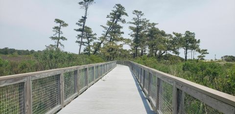 Walk Or Ride Alongside The Ocean On The 5.2-Mile Gordons Pond Trail In Delaware