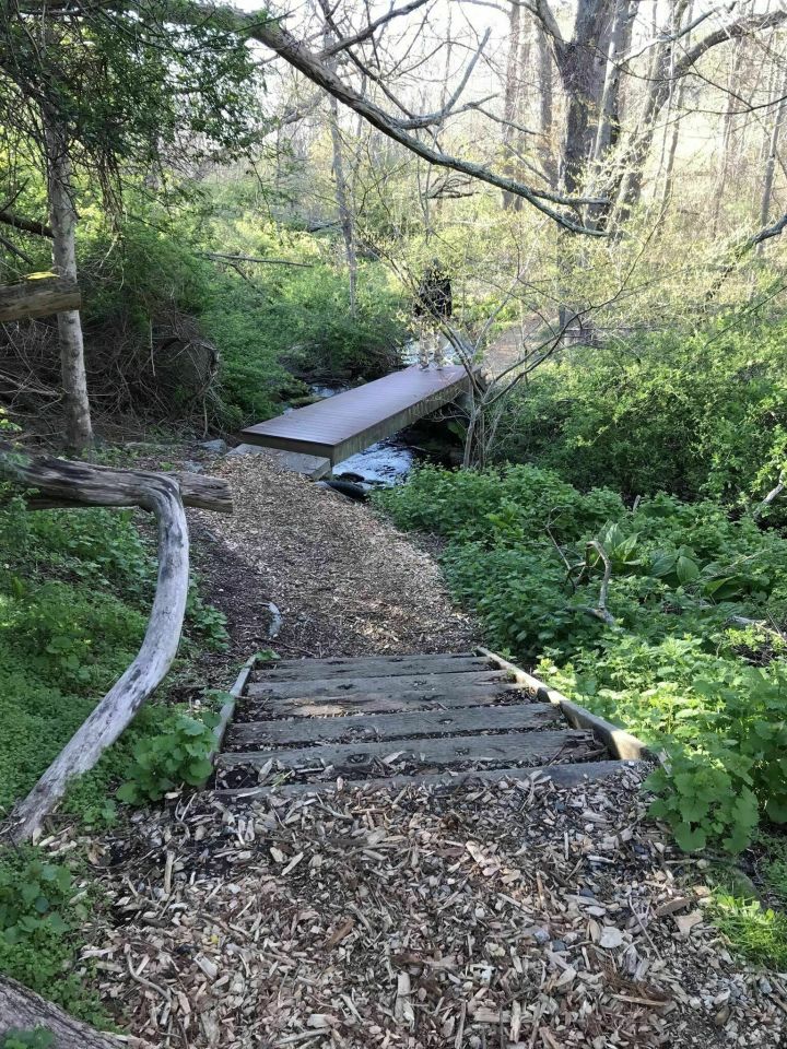 a small bridge on Melville Park Blue Trail