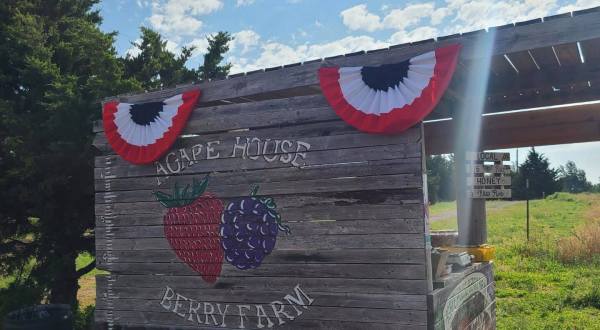 Pick Your Own Berries And Make Sweet Jam At Agape House Berry Farm In Oklahoma