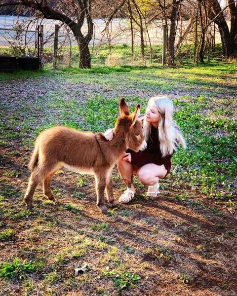 Enjoy A Hands-On Zoo Experience At Nomad's Animal Encounter In Oklahoma