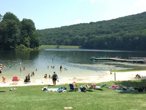 Visit Cunningham Falls State Park in Maryland, A Hidden Gem Beach With A Nearby Waterfall