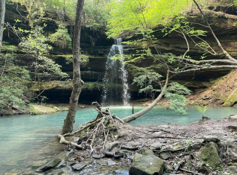 Alabama's Shangri-La Falls Trail Leads To A Magnificent Hidden Oasis