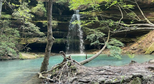 Alabama’s Shangri-La Falls Trail Leads To A Magnificent Hidden Oasis