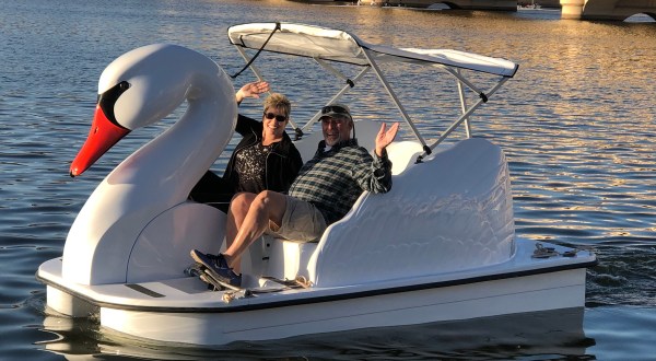 You Can Take A Ride In A Swan-Shaped Boat On Tempe Town Lake In Arizona
