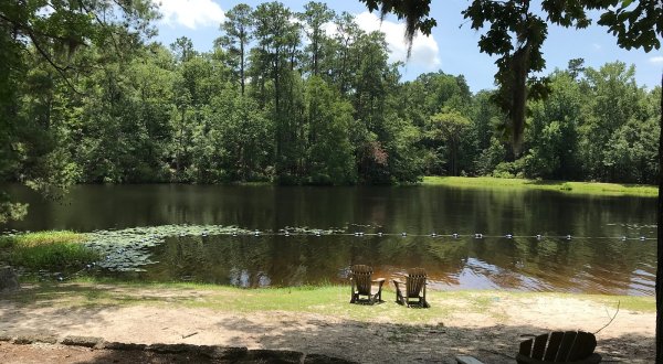 Enjoy Lake Views, Loads Of Trails, A Playground, And History At Manchester State Forest In South Carolina