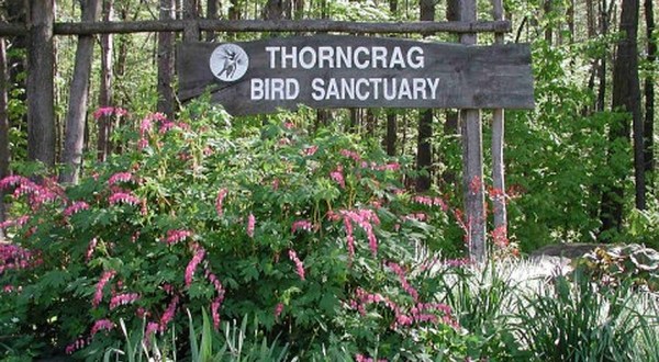 The 372-Acre Thorncrag Bird Sanctuary In Maine Is The Largest Bird Refuge In New England