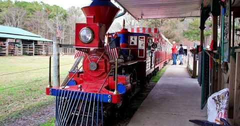 Take A Beautiful 20-Minute Train Ride Through Beavers Bend State Park In Oklahoma
