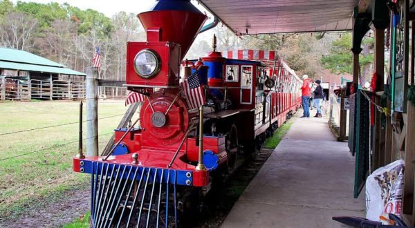 Take A Beautiful 20-Minute Train Ride Through Beavers Bend State Park In Oklahoma