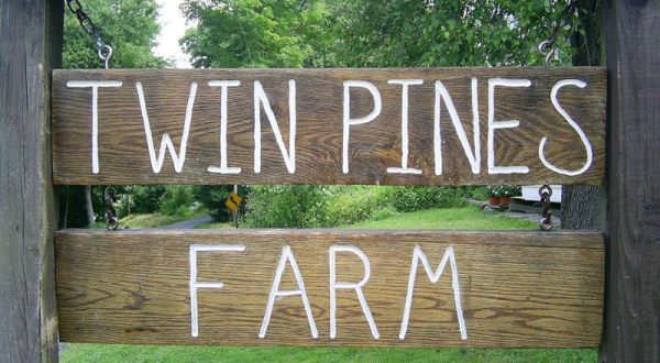 Bring Your Family Out To Twin Pines Farm In Connecticut To Explore A Working Farm And Get Back To Basics