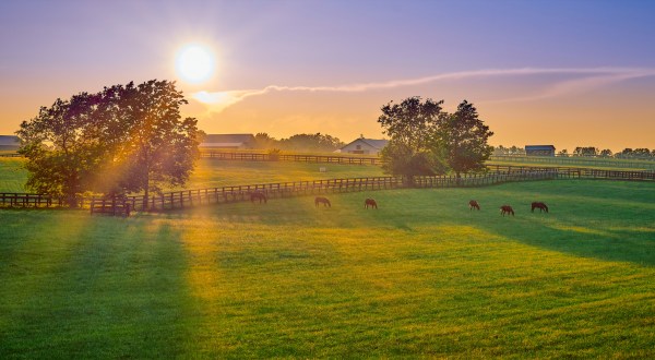 Kentucky Has Officially Been Named The Kindest State In The U.S.