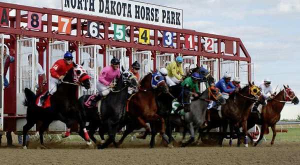 Visit One Of North Dakota’s Only Horse Racetracks For 8 Days Of Fun This Summer