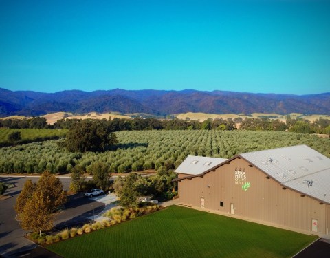 Tour And Taste At The Séka Hills Olive Mill And Tasting Room In Northern California