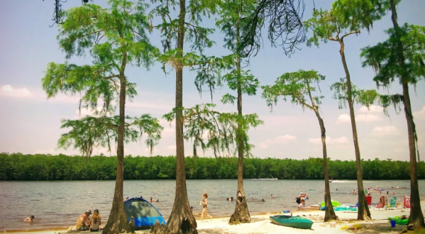 Grab Some Barbecue And Rent A Kayak At This Awesome Spot In Mississippi